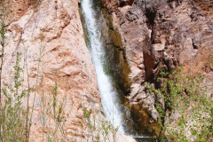 DSC00549_0312